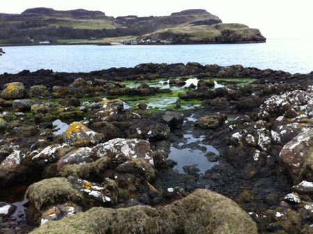 view from Sanday across rocks to Canna